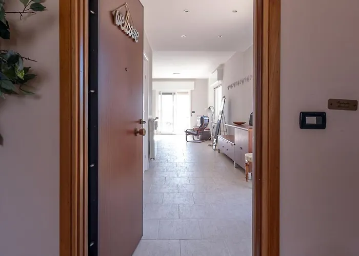 Daire Dream - Floridian