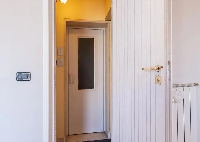 Daire Dream - Floridian *